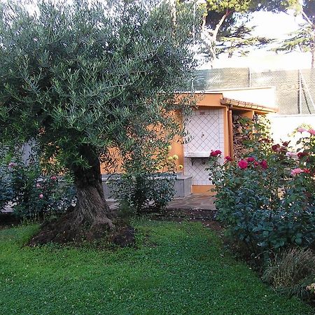 Al Vecchio Olivo Bed and Breakfast Frascati Eksteriør billede