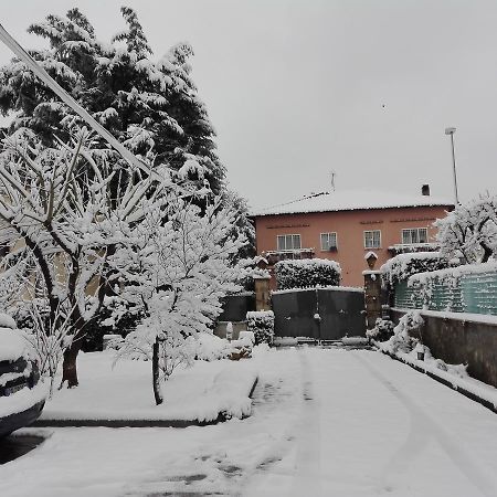 Al Vecchio Olivo Bed and Breakfast Frascati Eksteriør billede