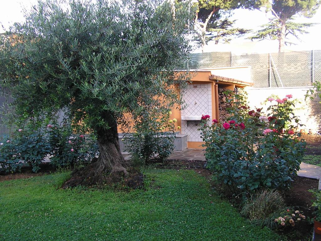 Al Vecchio Olivo Bed and Breakfast Frascati Eksteriør billede