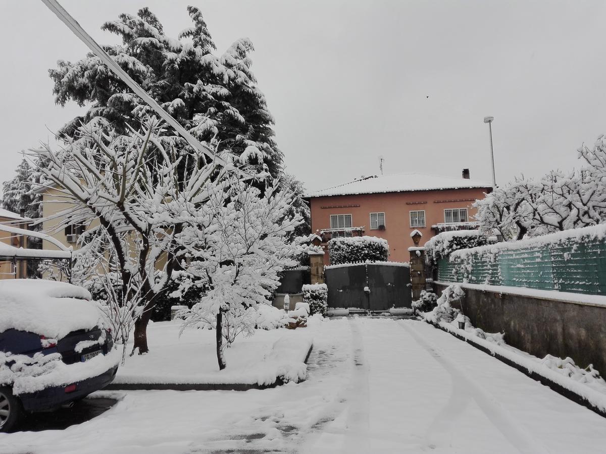 Al Vecchio Olivo Bed and Breakfast Frascati Eksteriør billede