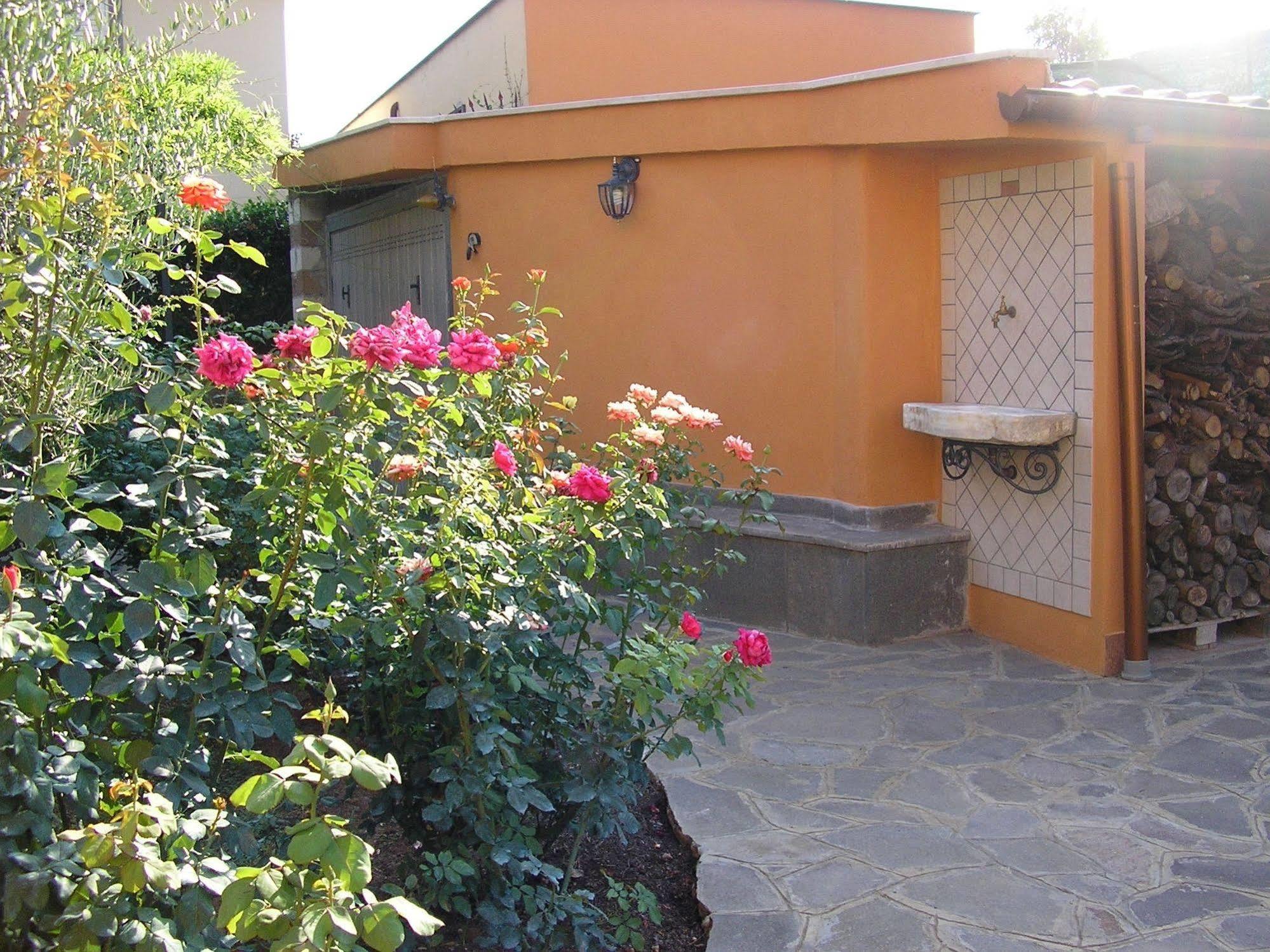 Al Vecchio Olivo Bed and Breakfast Frascati Eksteriør billede