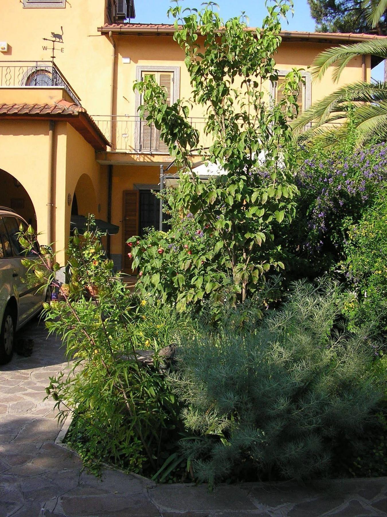 Al Vecchio Olivo Bed and Breakfast Frascati Eksteriør billede