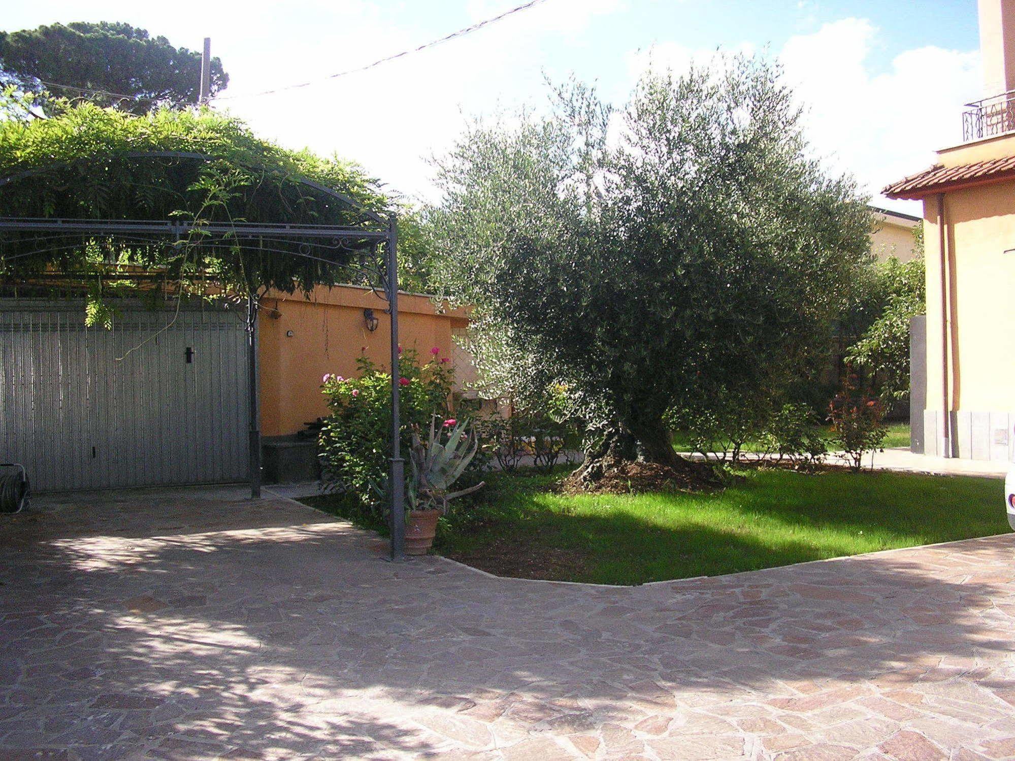 Al Vecchio Olivo Bed and Breakfast Frascati Eksteriør billede